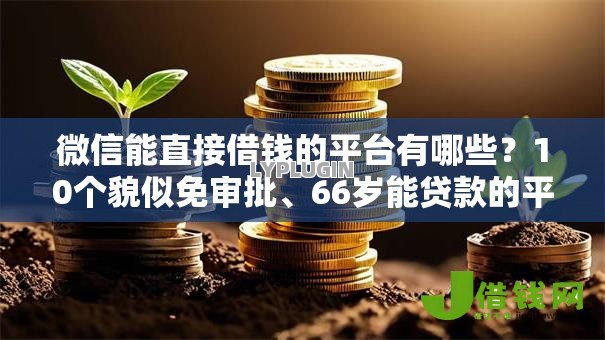 微信能直接借钱的平台有哪些？10个貌似免审批、66岁能贷款的平台合集
