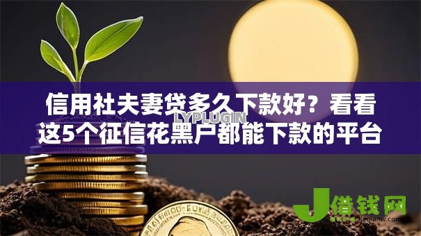 信用社夫妻贷多久下款好?看看这5个征信花黑户都能下款的平台怎么样 信用社夫妻贷多久下款好?看看这5个征信花黑户都能下款的平台怎么样