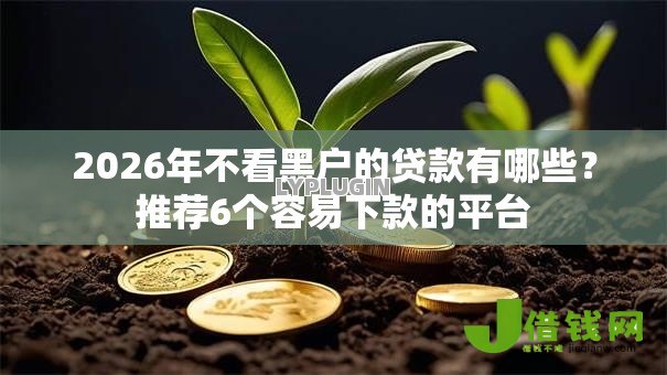 2026年不看黑户的贷款有哪些?推荐6个容易下款的平台 2026年不看黑户的贷款有哪些?推荐6个容易下款的平台