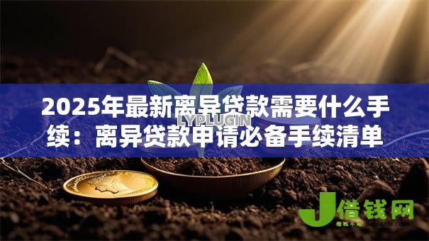 2025年最新离异贷款需要什么手续：离异贷款申请必备手续清单