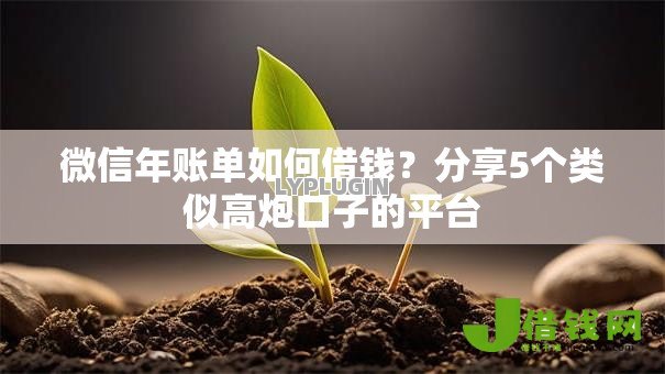 微信年账单如何借钱？分享5个类似高炮口子的平台