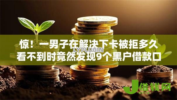 惊！一男子在解决下卡被拒多久看不到时竟然发现9个黑户借款口子，事后分享了出来