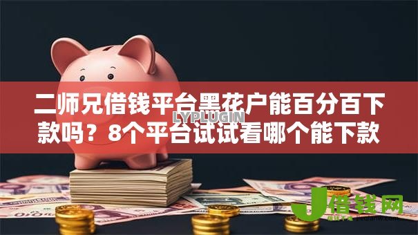 二师兄借钱平台黑花户能百分百下款吗？8个平台试试看哪个能下款