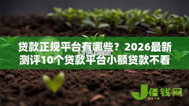 贷款正规平台有哪些？2026最新测评10个贷款平台小额贷款不看征信
