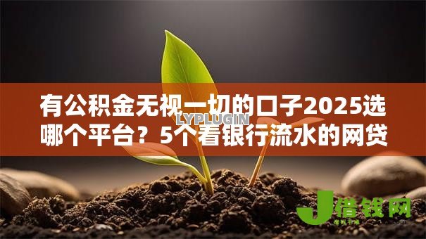 有公积金无视一切的口子2025选哪个平台?5个看银行流水的网贷平台推荐 有公积金无视一切的口子2025选哪个平台?5个看银行流水的网贷平台推荐