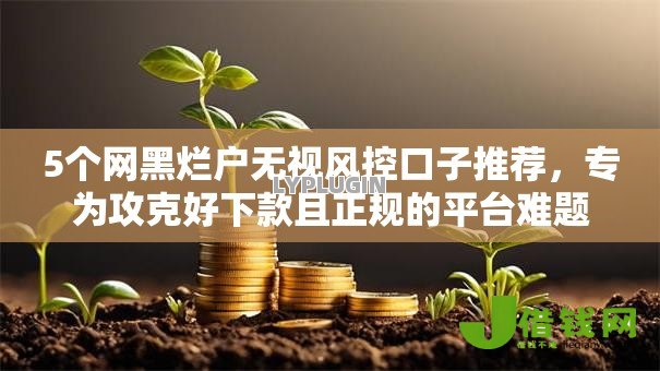 5个网黑烂户无视风控口子推荐，专为攻克好下款且正规的平台难题