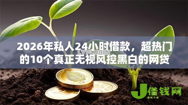 2026年私人24小时借款，超热门的10个真正无视风控黑白的网贷推荐