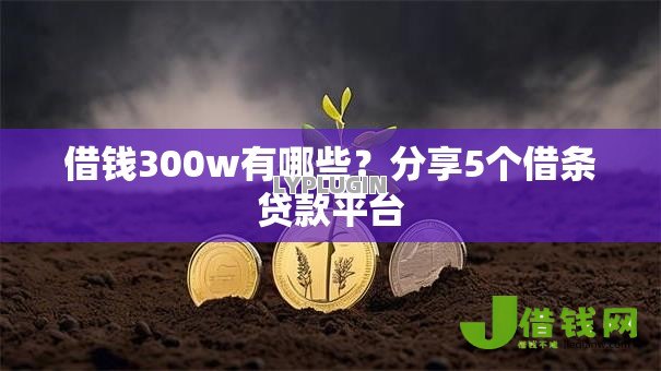 借钱300w有哪些？分享5个借条贷款平台