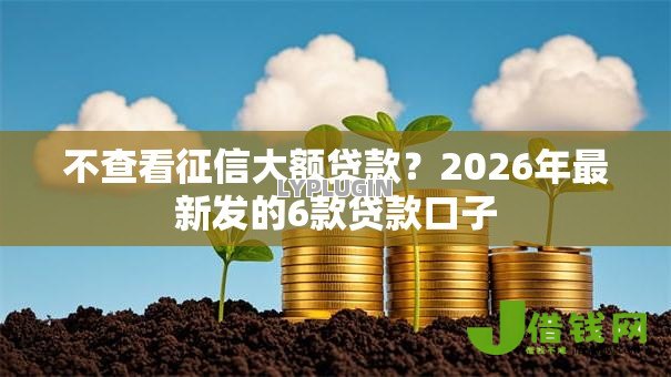 不查看征信大额贷款？2026年最新发的6款贷款口子