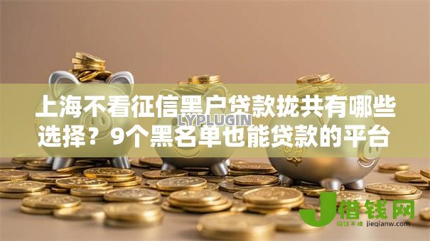 上海不看征信黑户贷款拢共有哪些选择?9个黑名单也能贷款的平台详解 上海不看征信黑户贷款拢共有哪些选择?9个黑名单也能贷款的平台详解