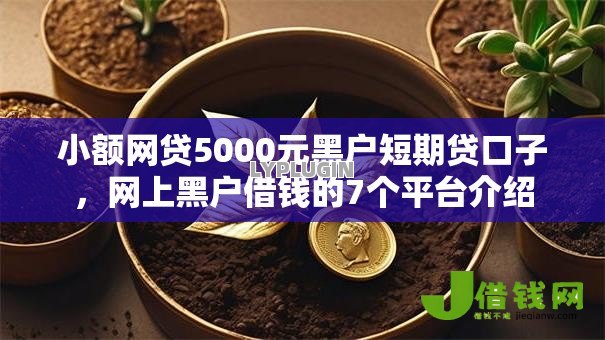 小额网贷5000元黑户短期贷口子,网上黑户借钱的7个平台介绍 小额网贷5000元黑户短期贷口子,网上黑户借钱的7个平台介绍