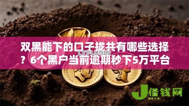 双黑能下的口子拢共有哪些选择?6个黑户当前逾期秒下5万平台详解 双黑能下的口子拢共有哪些选择?6个黑户当前逾期秒下5万平台详解