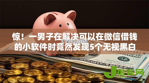 惊！一男子在解决可以在微信借钱的小软件时竟然发现5个无视黑白无视征信申请就下款的平台，事后分享了出来