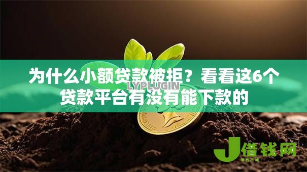为什么小额贷款被拒?看看这6个贷款平台有没有能下款的 为什么小额贷款被拒?看看这6个贷款平台有没有能下款的