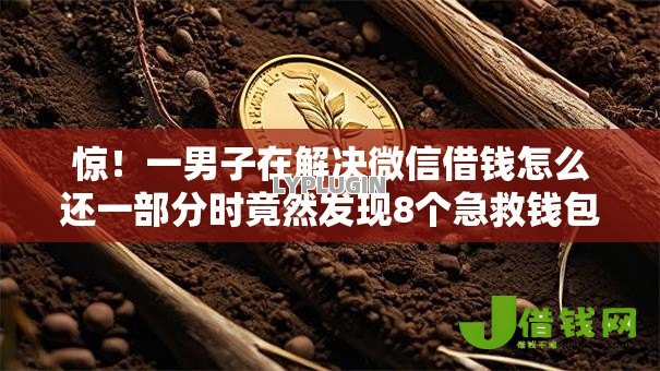 惊！一男子在解决微信借钱怎么还一部分时竟然发现8个急救钱包贷款软件黑户好下款，事后分享了出来