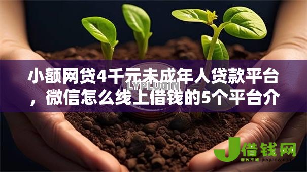 小额网贷4千元未成年人贷款平台,微信怎么线上借钱的5个平台介绍 小额网贷4千元未成年人贷款平台,微信怎么线上借钱的5个平台介绍