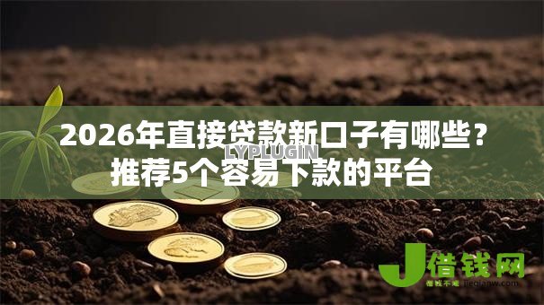 2026年直接贷款新口子有哪些？推荐5个容易下款的平台