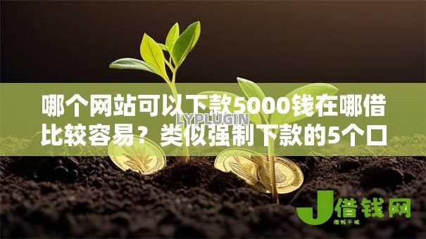 哪个网站可以下款5000钱在哪借比较容易?类似强制下款的5个口子参考 哪个网站可以下款5000钱在哪借比较容易?类似强制下款的5个口子参考