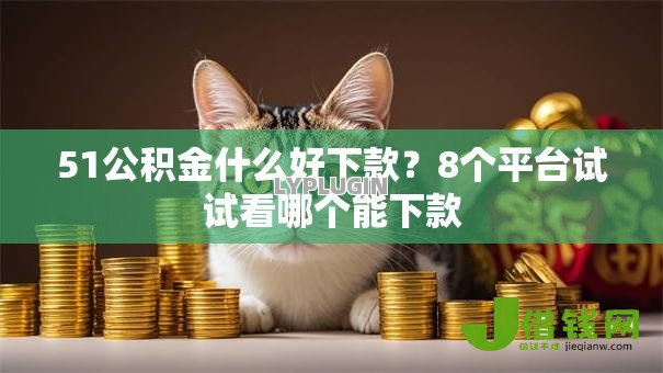 51公积金什么好下款?8个平台试试看哪个能下款 51公积金什么好下款?8个平台试试看哪个能下款