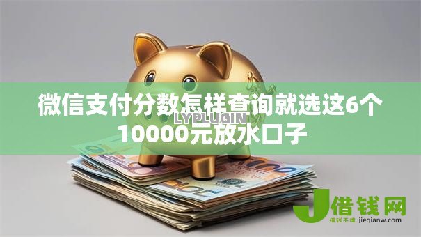 微信支付分数怎样查询就选这6个10000元放水口子 微信支付分数怎样查询就选这6个10000元放水口子