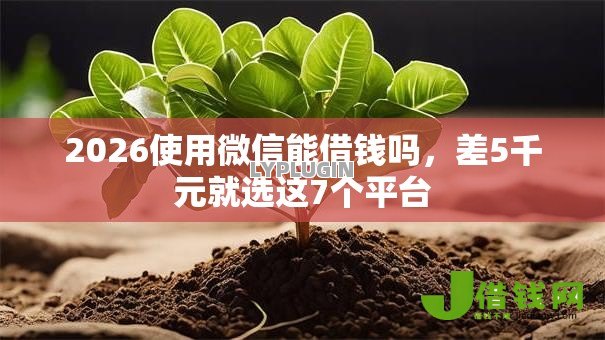 2026使用微信能借钱吗,差5千元就选这7个平台 2026使用微信能借钱吗,差5千元就选这7个平台