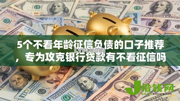 5个不看年龄征信负债的口子推荐,专为攻克银行贷款有不看征信吗吗难题 5个不看年龄征信负债的口子推荐,专为攻克银行贷款有不看征信吗吗难题