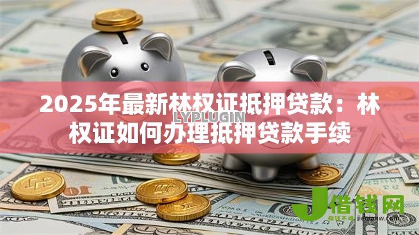 2025年最新林权证抵押贷款:林权证如何办理抵押贷款手续 2025年最新林权证抵押贷款:林权证如何办理抵押贷款手续