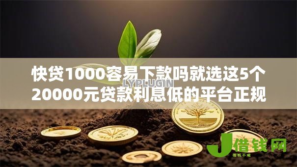 快贷1000容易下款吗就选这5个20000元贷款利息低的平台正规