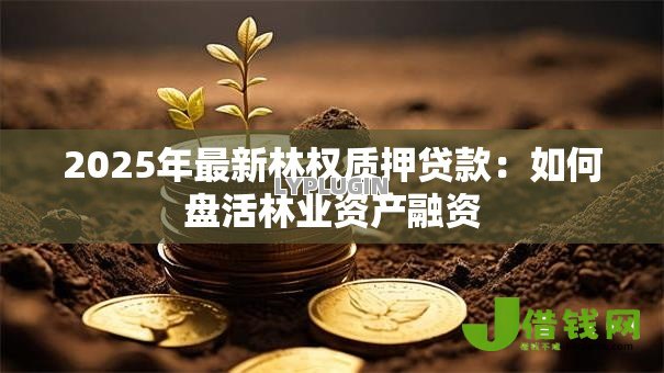 2025年最新林权质押贷款:如何盘活林业资产融资 2025年最新林权质押贷款:如何盘活林业资产融资