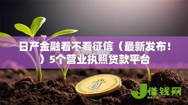 日产金融看不看征信（最新发布！）5个营业执照贷款平台