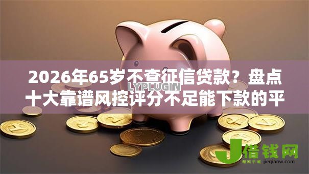2026年65岁不查征信贷款?盘点十大靠谱风控评分不足能下款的平台 2026年65岁不查征信贷款?盘点十大靠谱风控评分不足能下款的平台