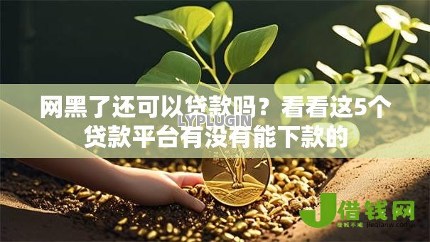 网黑了还可以贷款吗?看看这5个贷款平台有没有能下款的 网黑了还可以贷款吗?看看这5个贷款平台有没有能下款的