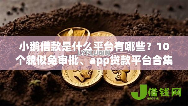 小鹅借款是什么平台有哪些？10个貌似免审批、app贷款平台合集
