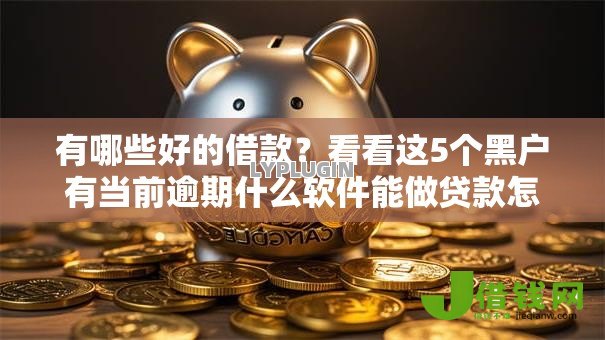 有哪些好的借款？看看这5个黑户有当前逾期什么软件能做贷款怎么样