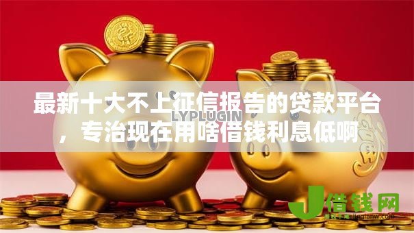 最新十大不上征信报告的贷款平台，专治现在用啥借钱利息低啊