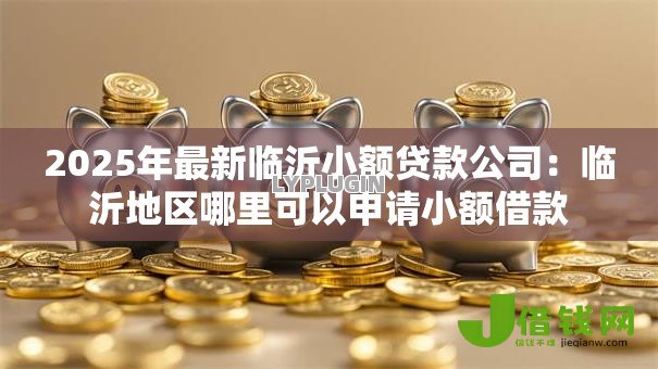 2025年最新临沂小额贷款公司：临沂地区哪里可以申请小额借款