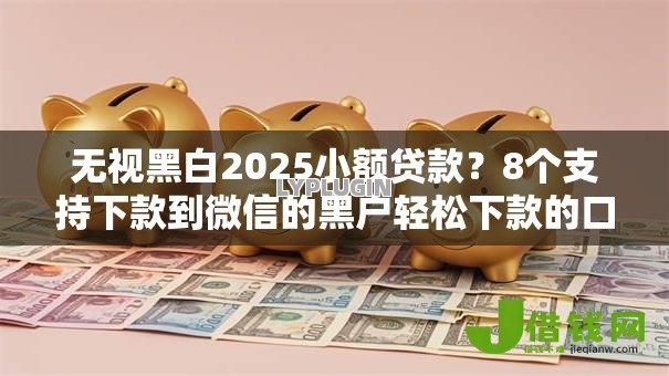 无视黑白2025小额贷款？8个支持下款到微信的黑户轻松下款的口子