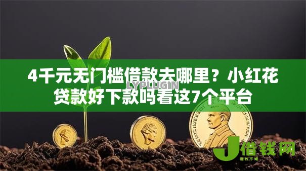 4千元无门槛借款去哪里?小红花贷款好下款吗看这7个平台 4千元无门槛借款去哪里?小红花贷款好下款吗看这7个平台
