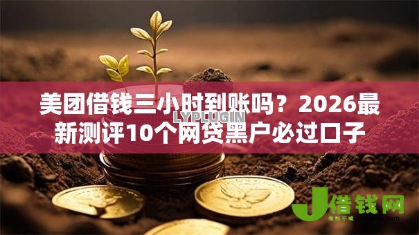 美团借钱三小时到账吗？2026最新测评10个网贷黑户必过口子