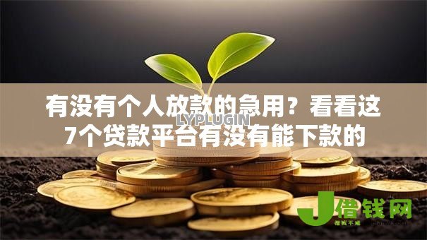 有没有个人放款的急用？看看这7个贷款平台有没有能下款的