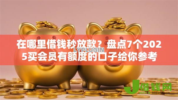 在哪里借钱秒放款？盘点7个2025买会员有额度的口子给你参考
