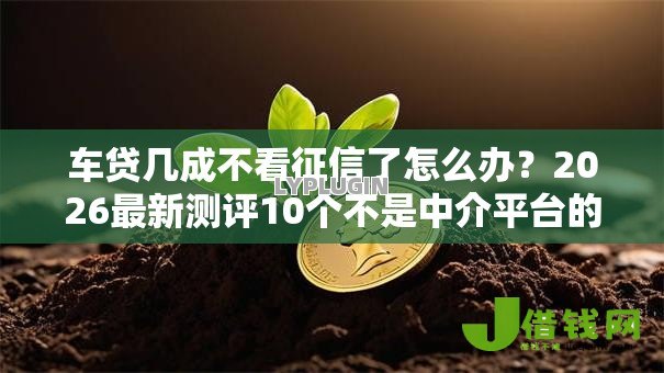 车贷几成不看征信了怎么办？2026最新测评10个不是中介平台的贷款口子