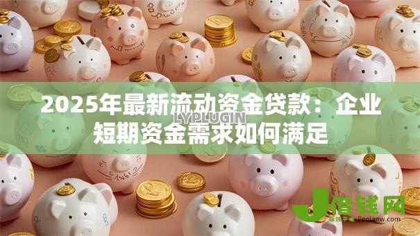 2025年最新流动资金贷款：企业短期资金需求如何满足