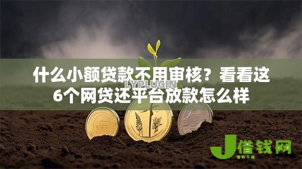 什么小额贷款不用审核？看看这6个网贷还平台放款怎么样