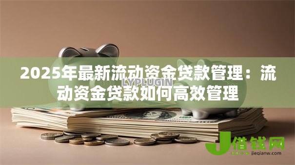 2025年最新流动资金贷款管理:流动资金贷款如何高效管理 2025年最新流动资金贷款管理:流动资金贷款如何高效管理