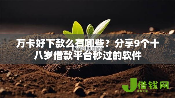 万卡好下款么有哪些？分享9个十八岁借款平台秒过的软件