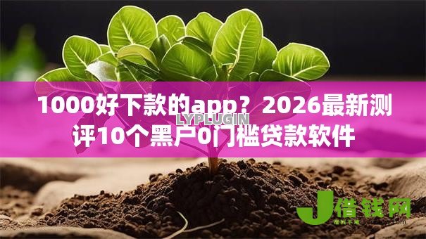 1000好下款的app?2026最新测评10个黑户0门槛贷款软件 1000好下款的app?2026最新测评10个黑户0门槛贷款软件