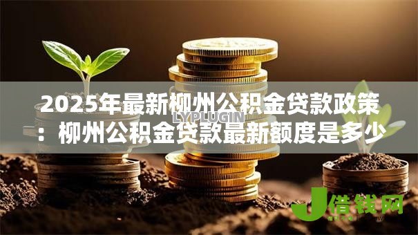 2025年最新柳州公积金贷款政策:柳州公积金贷款最新额度是多少 2025年最新柳州公积金贷款政策:柳州公积金贷款最新额度是多少