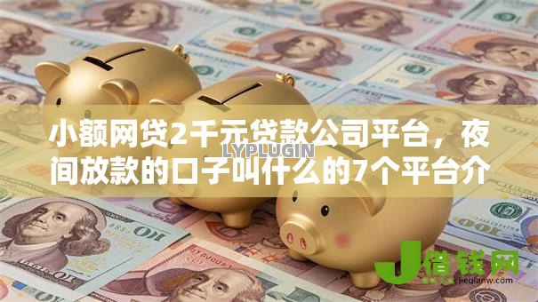 小额网贷2千元贷款公司平台,夜间放款的口子叫什么的7个平台介绍 小额网贷2千元贷款公司平台,夜间放款的口子叫什么的7个平台介绍