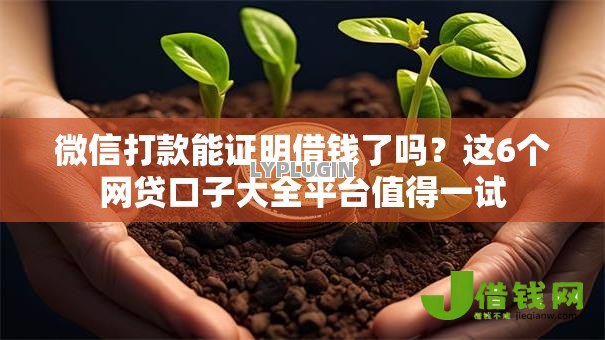 微信打款能证明借钱了吗？这6个网贷口子大全平台值得一试